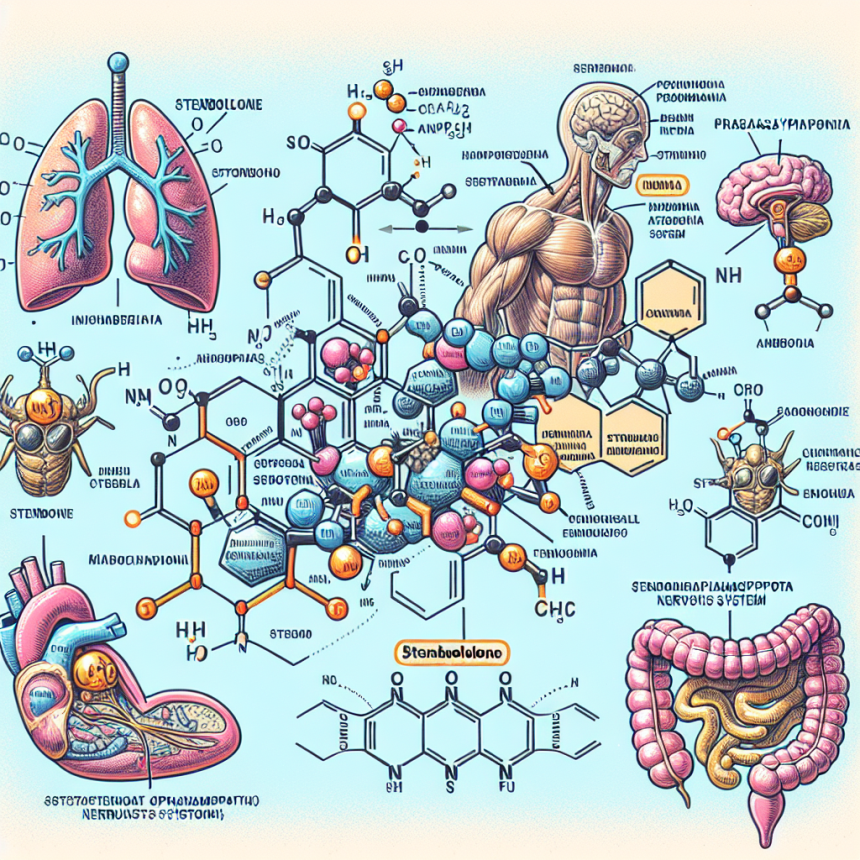 Stenbolone y su efecto en el sistema parasimpático